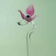 Orchideenstab mit Blüte in rosa